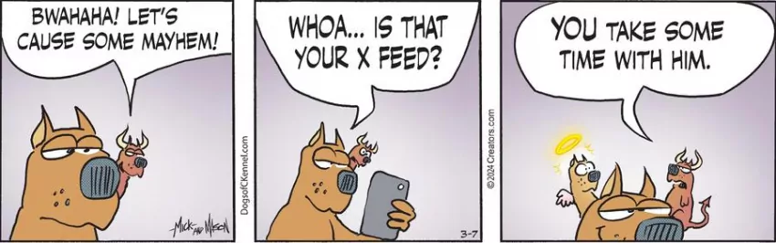 Dogs of C-Kennel for Mar 07, 2024