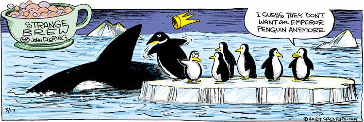 Strange Brew for Mar 17, 2024