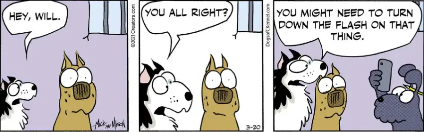 Dogs of C-Kennel for Mar 20, 2021