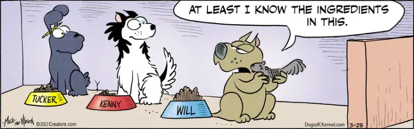 Dogs of C-Kennel for Mar 25, 2022