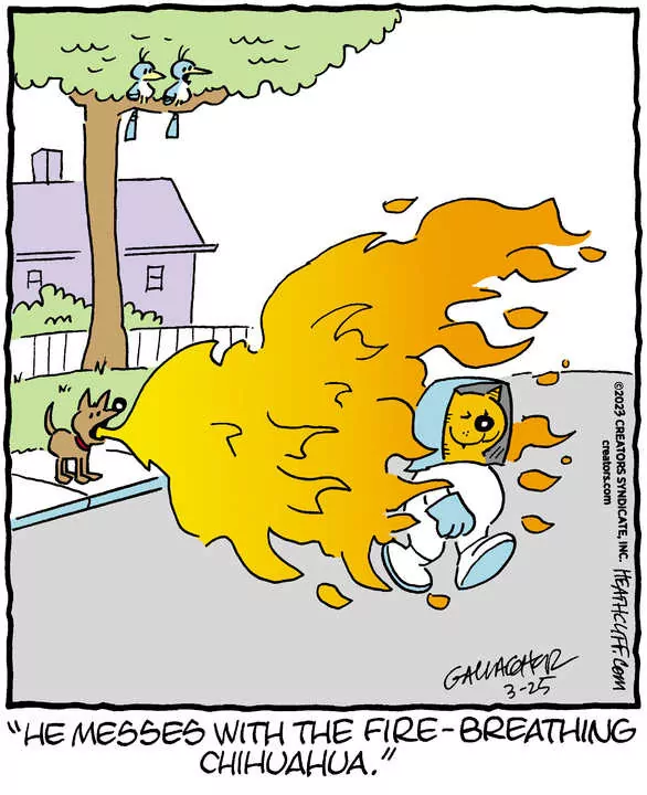 Heathcliff for Mar 25, 2023