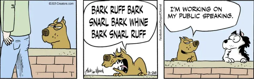 Dogs of C-Kennel for Mar 26, 2021