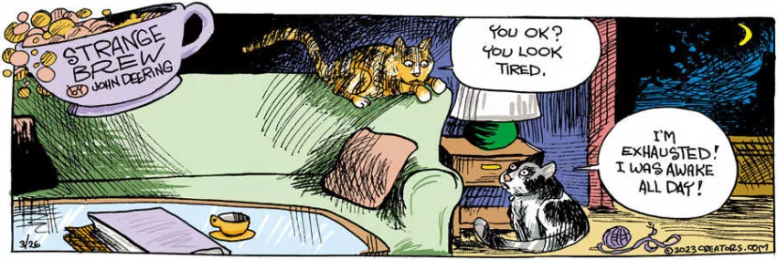 Strange Brew for Mar 26, 2023