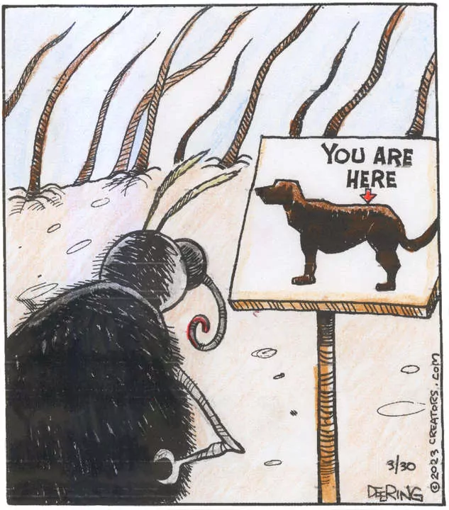 Strange Brew for Mar 30, 2023