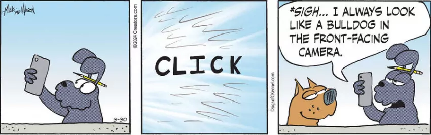 Dogs of C-Kennel for Mar 30, 2024