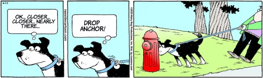 The Other Coast for Apr 11, 2023