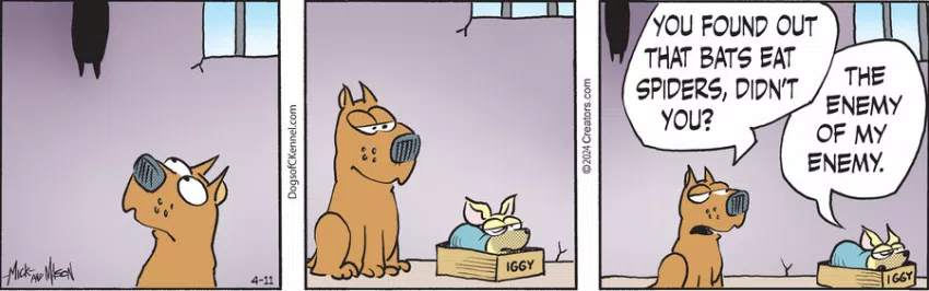 Dogs of C-Kennel for Apr 11, 2024