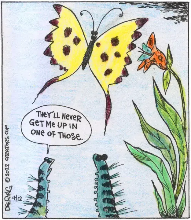 Strange Brew for Apr 12, 2022