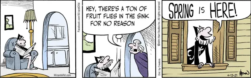 Wizard of Id for Apr 13, 2021