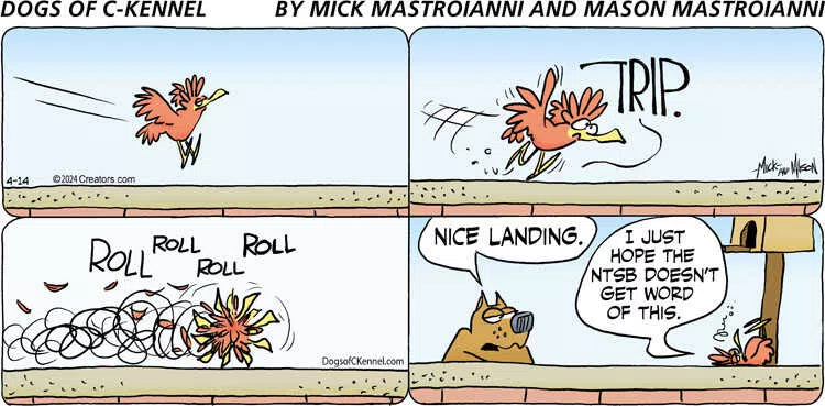 Dogs of C-Kennel for Apr 14, 2024