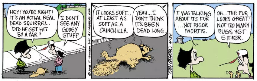 Agnes for Apr 24, 2024