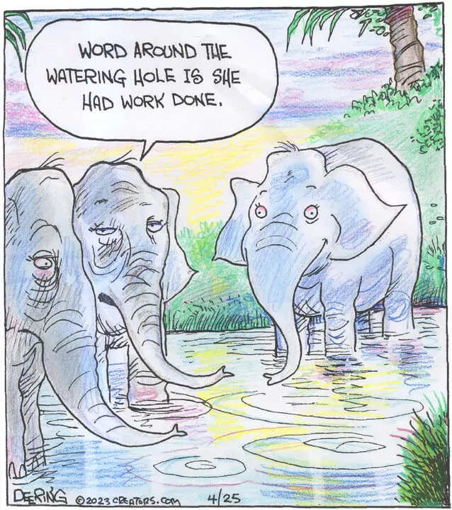 Strange Brew for Apr 25, 2023