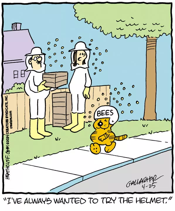 Heathcliff for Apr 25, 2024