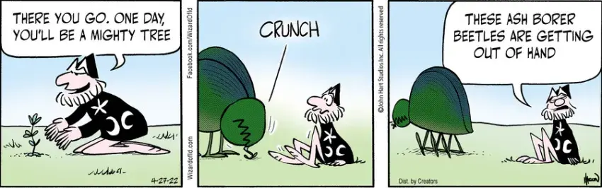 Wizard of Id for Apr 27, 2022