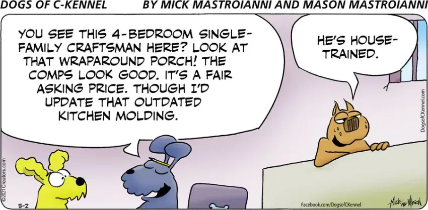 Dogs of C-Kennel for May 02, 2021
