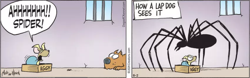 Dogs of C-Kennel for May 02, 2024