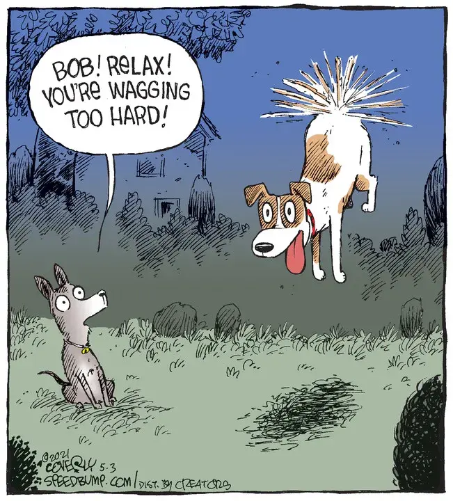 Speed Bump for May 03, 2021