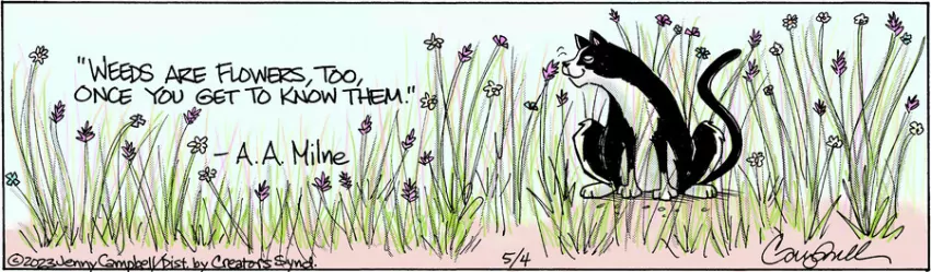 Flo & Friends for May 04, 2023