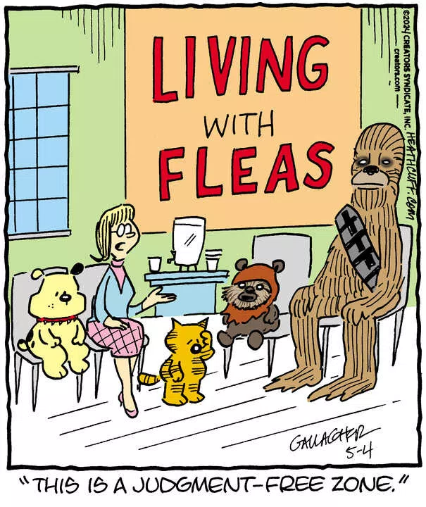 Heathcliff for May 04, 2024