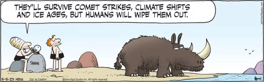 B.C. for May 05, 2023