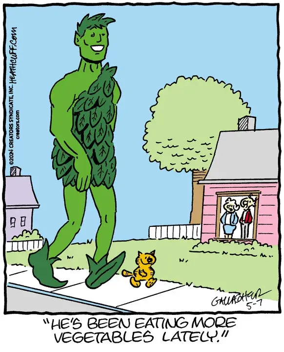 Heathcliff for May 07, 2024