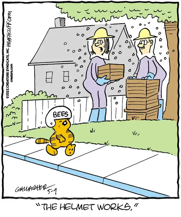 Heathcliff for May 09, 2022