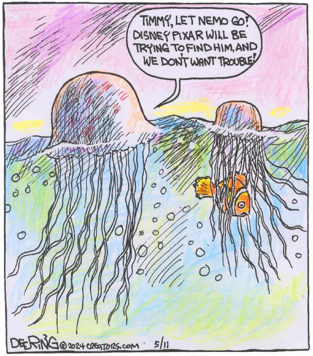 Strange Brew for May 11, 2024