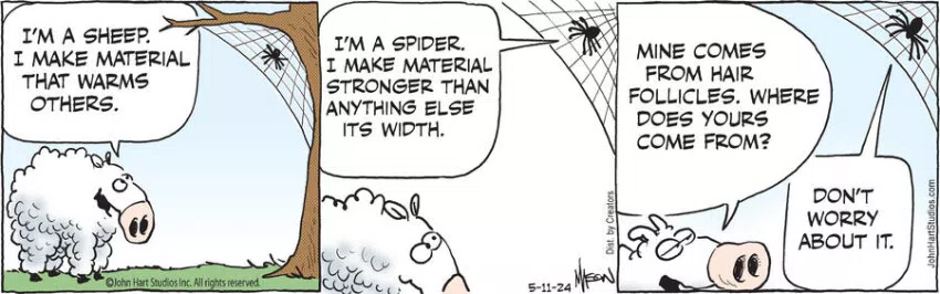 B.C. for May 11, 2024
