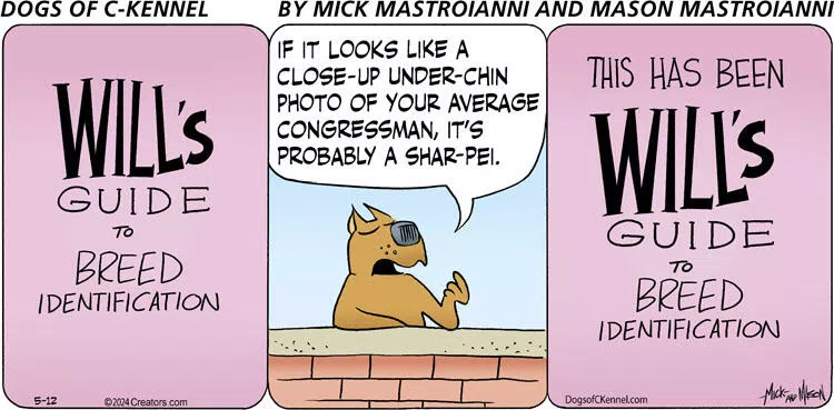 Dogs of C-Kennel for May 12, 2024