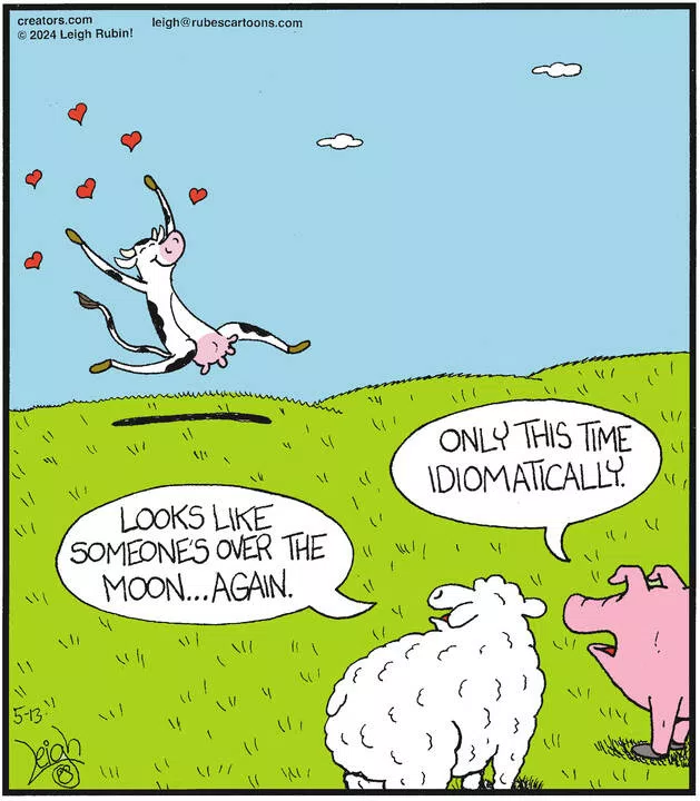 Rubes® for May 13, 2024