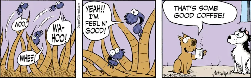 Dogs of C-Kennel for May 14, 2021