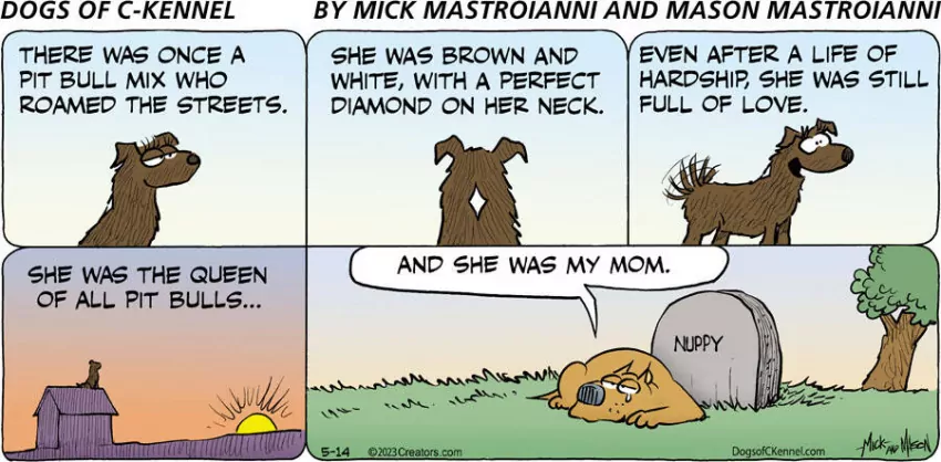 Dogs of C-Kennel for May 14, 2023