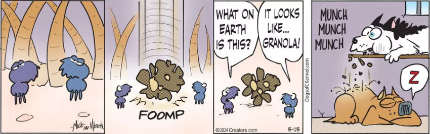 Dogs of C-Kennel for May 15, 2024