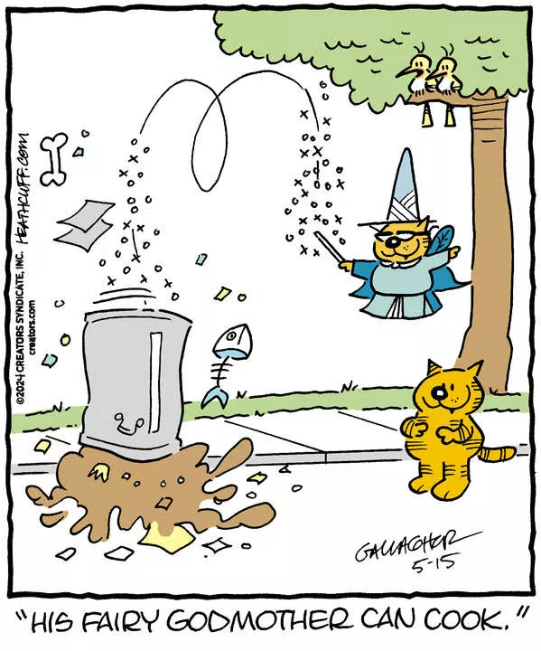 Heathcliff for May 15, 2024