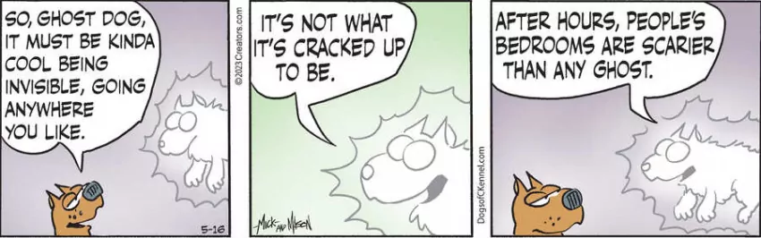 Dogs of C-Kennel for May 16, 2023
