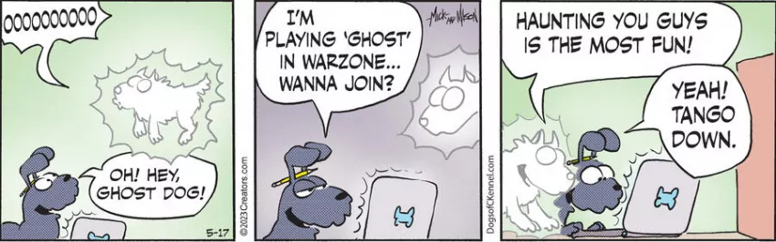 Dogs of C-Kennel for May 17, 2023