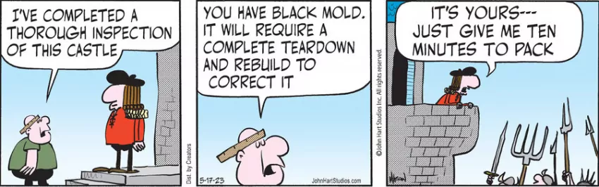 Wizard of Id for May 17, 2023