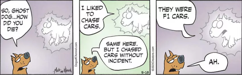 Dogs of C-Kennel for May 18, 2023