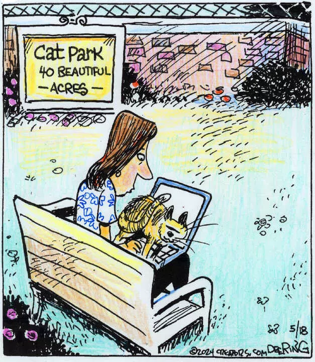 Strange Brew for May 18, 2024