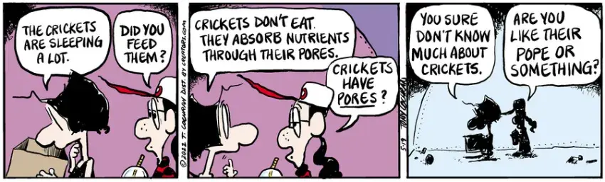 Agnes for May 19, 2022