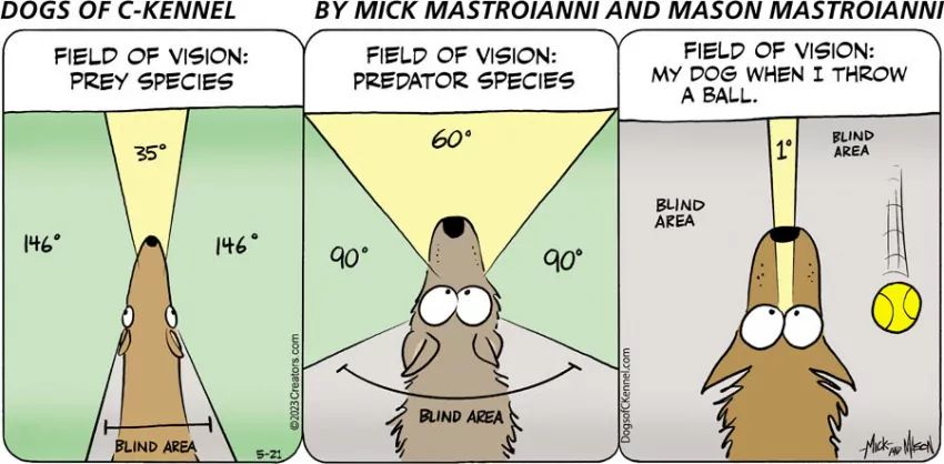 Dogs of C-Kennel for May 21, 2023