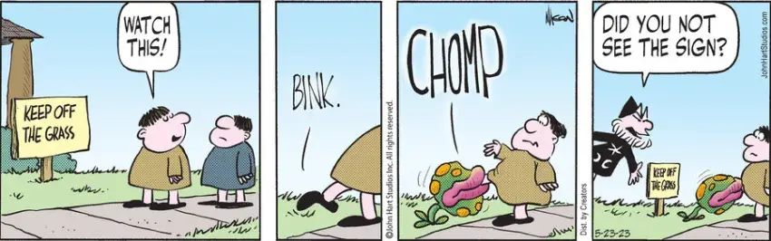 Wizard of Id for May 23, 2023