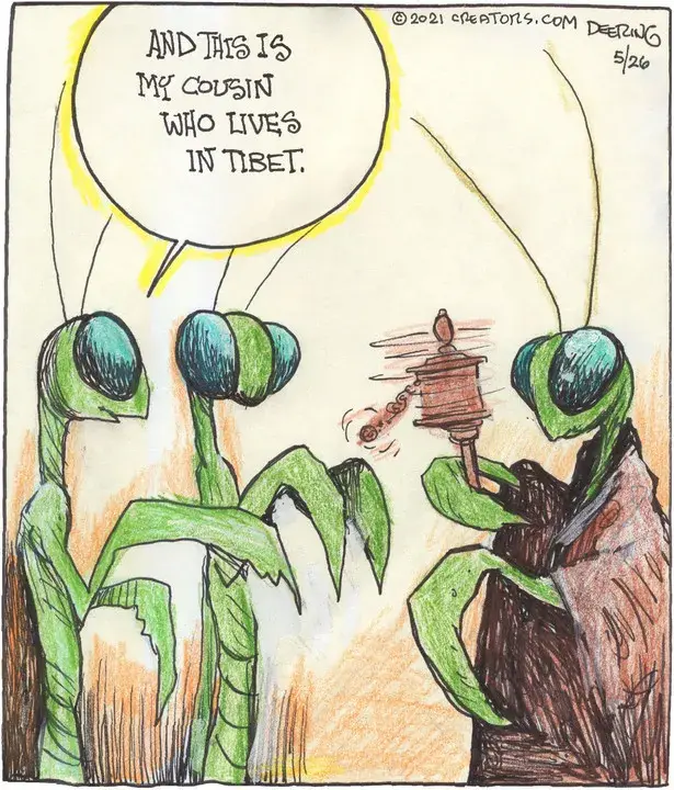 Strange Brew for May 26, 2021