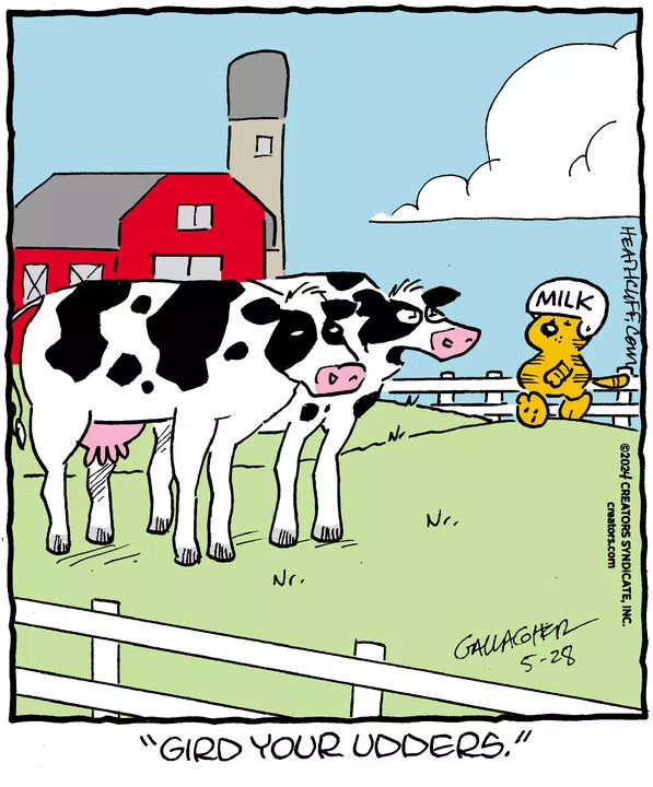 Heathcliff for May 28, 2024