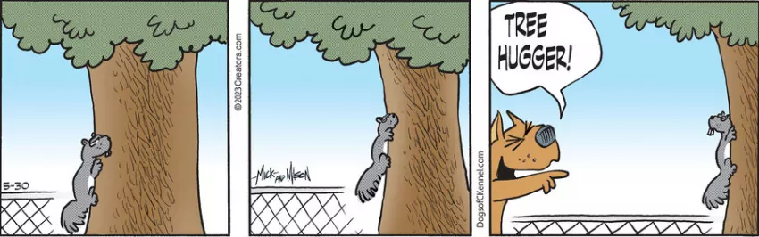 Dogs of C-Kennel for May 30, 2023