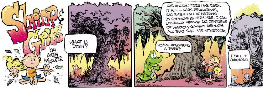 Shrimp and Grits for Jun 04, 2023