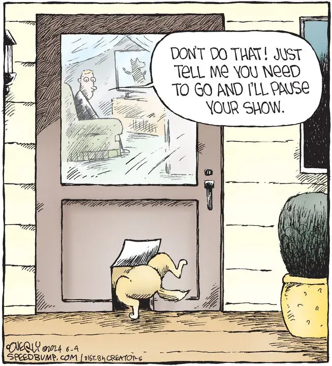 Speed Bump for Jun 04, 2024