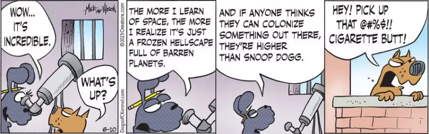 Dogs of C-Kennel for Jun 10, 2023