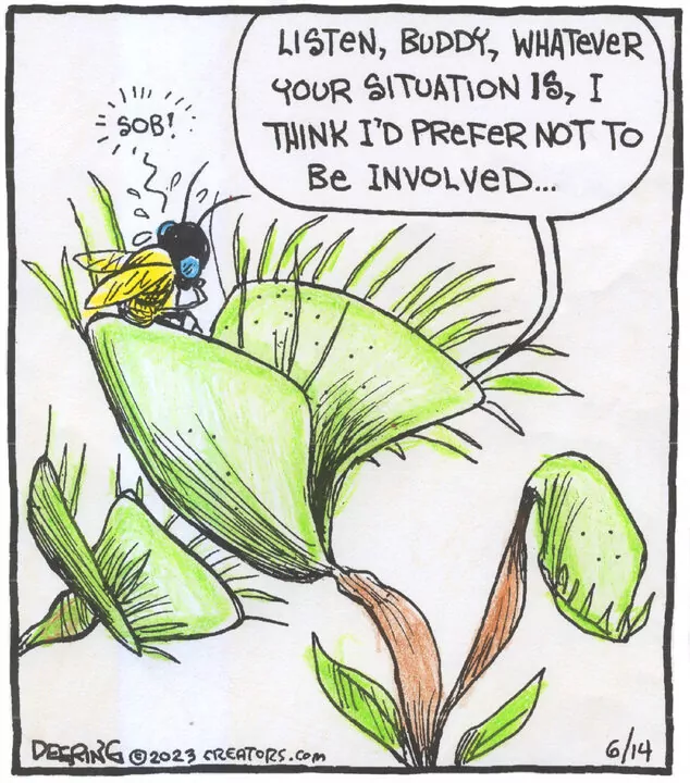 Strange Brew for Jun 14, 2023