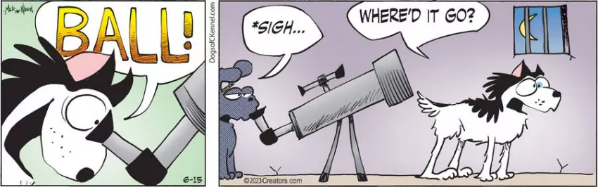 Dogs of C-Kennel for Jun 15, 2023